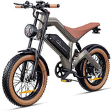 DYU M20 Bicicleta Eléctrica Todoterreno de Gran Autonomía