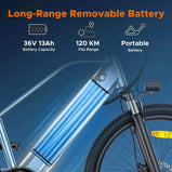 HillMiles MileTrail 1 bicicleta eléctrica 250 W 36 V 13 Ah 26" con frenos de disco