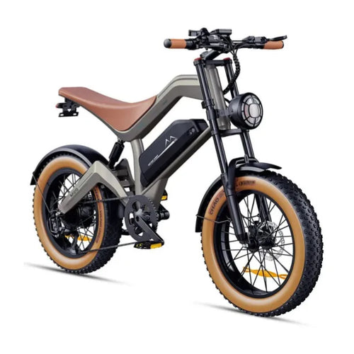 DYU M20 Bicicleta Eléctrica Todoterreno de Gran Autonomía