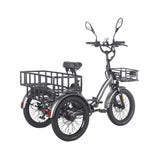 Fafrees EU-F20 Mate HS gris con gran cesta de carga trasera, cesta delantera y ruedas anchas
