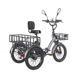 Fafrees EU-F20 Mate HS gris con asiento con respaldo, cesta delantera y gran cesta de carga trasera